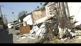 ピンクの花嫁の美味しい猫をお楽しみくださ ...