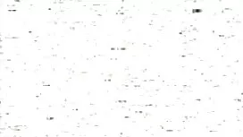 紳士はあなたの髪の膿でシャツの最後の髪を ...