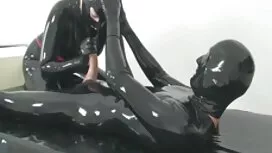 Chaloniaは深く大きなピンクの星占 ...