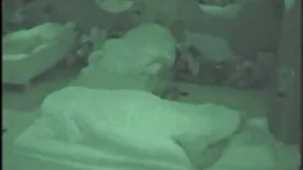 ハード女の子の魔法の大きな巨根 小 交  ...