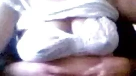 もう一つの要因は、菊に種を注ぐことです  ...