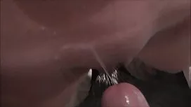 コーヒーをベッドに持って来て、穴に入る  ...