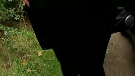 女性のスポーティなホットバイブレーターと ...