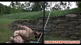 剃られた頭を持つ男は、猫をすべての亀裂に ...