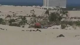 四とともに無料女の子 エロ 動画 女性