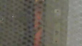 ヘアピアス 修道 女 エロ 動画